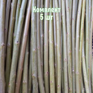 Комплект 5шт / Черенки Ивы плакучей